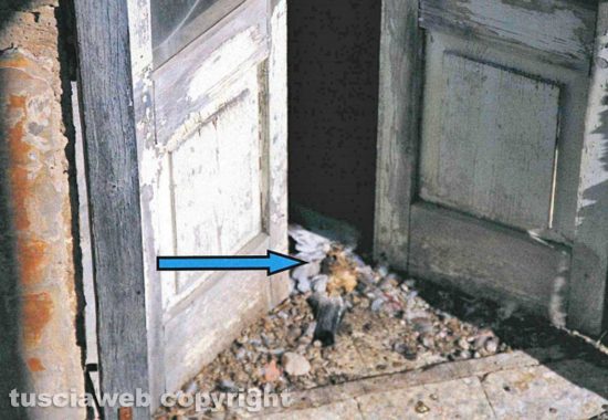 Tessennano - Incuria e abbandono stabile in via Mameli