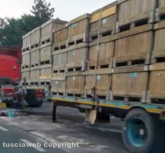 Acquapendente - Auto contro camion in sosta