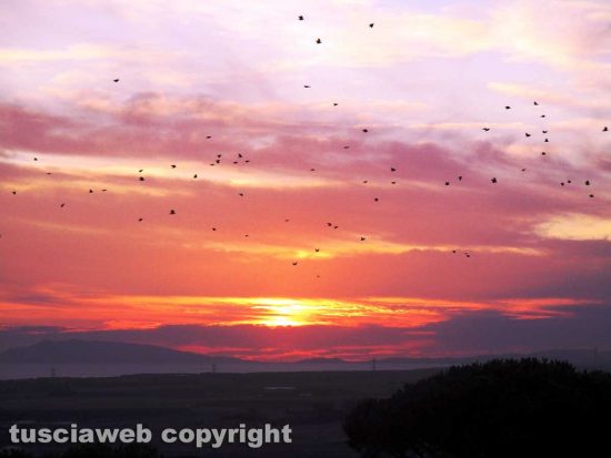 Tarquinia - Le cornacchie al tramonto