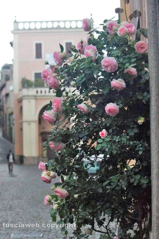 WhatsApp-Image-2021-08-06-at-07.32.39-(1)