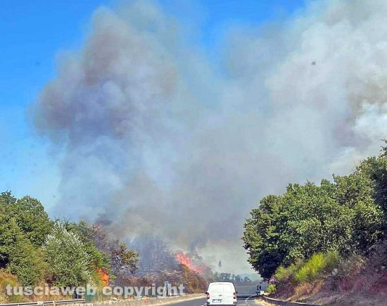 Orte - Incendio sulla SS 675