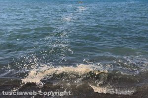 Montalto di Castro - Il mare sporco