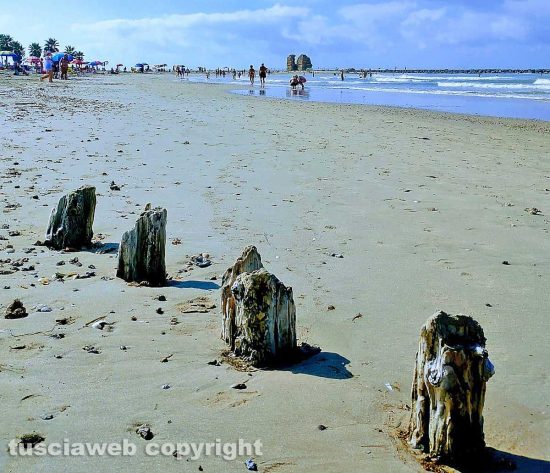 Ladispoli - La spiaggia libera di Torre Flavia