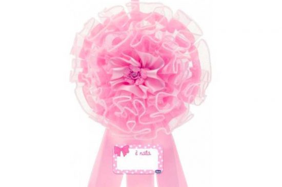 E' nata Ginevra Brachino