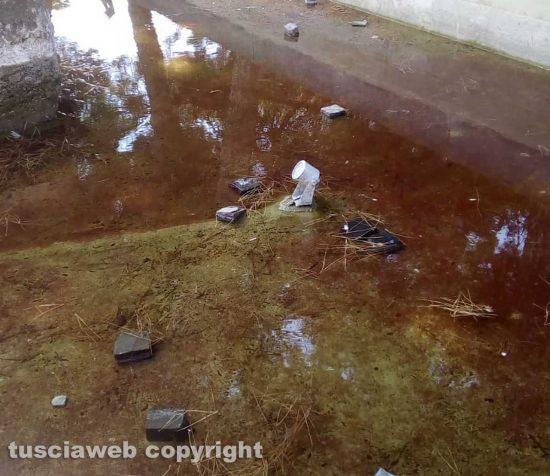 Viterbo - Il monumento ai paracadutisti pieno di sporcizia