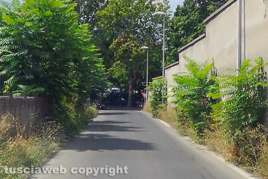 Viterbo - Incuria in via San Benedetto Menni