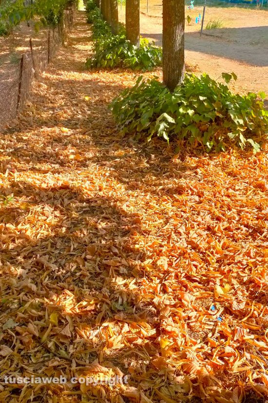 WhatsApp-Image-2021-08-26-at-16.21.08-(2)