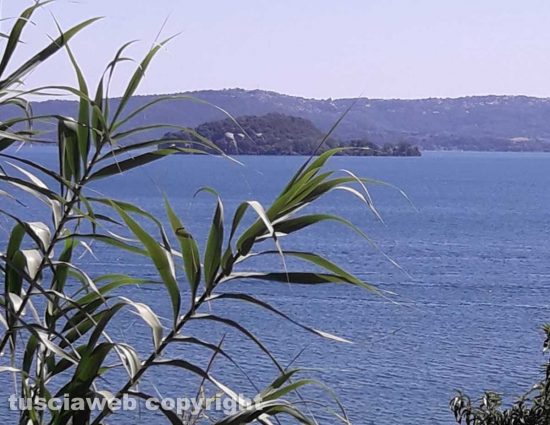 Capodimonte - L'isola Bisentina