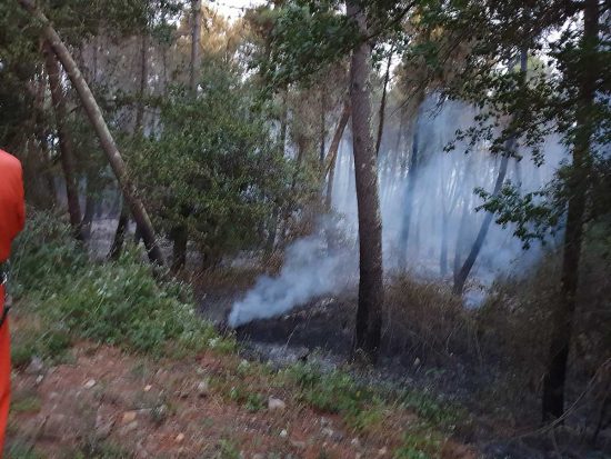 Acquapendente - Incendio alla riserva naturale Monte Rufeno