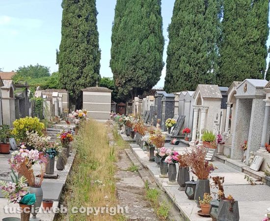 Viterbo - Degrado al cimitero di San Lazzaro