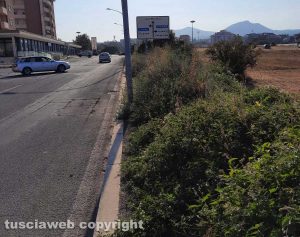 Viterbo - Erbacce sui marciapiedi in via Alessandro Volta