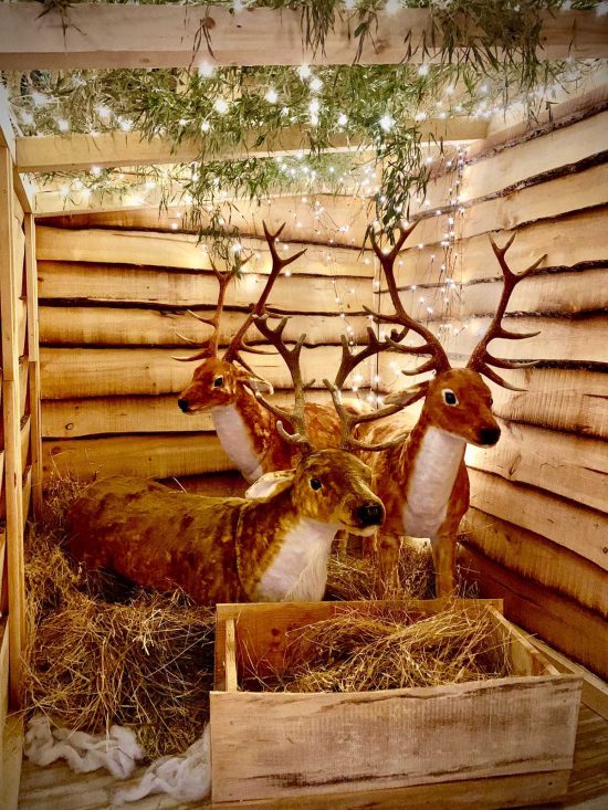  Vetralla - Il regno di Babbo Natale