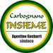 Elezioni comunali 2021 - Carbognano - Carbognano Insieme