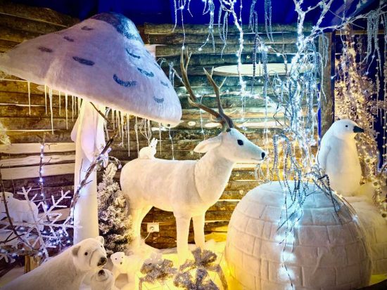 Vetralla - Il regno di Babbo Natale