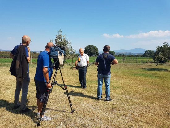 241551587_4182274435203679_2672213126789856699_n