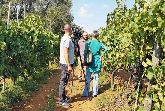 241732204_4190766284354494_1143019667733040094_n