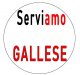Elezioni comunali 2021 - Gallese - Lista ServiAmo Gallese
