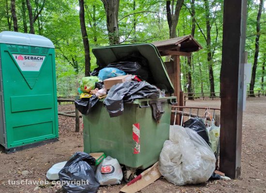 Viterbo - Il cassonetto indifferenziato alla Faggeta nella giornata di domenica