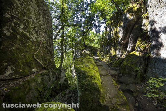 Bomarzo - Tagliata etrusca