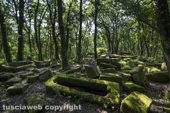 Bomarzo - Ruderi santa Cecilia