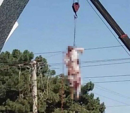 Afghanistan - Talebani giustiziano 4 rapitori impiccandoli in piazza