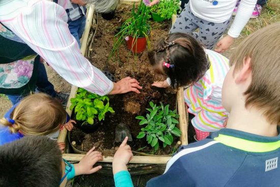 Clorophilla Festa della natura per bambini