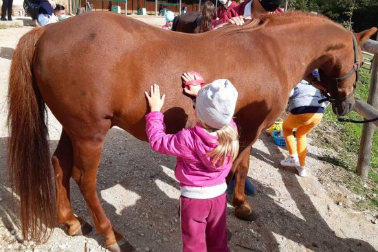 Clorophilla Festa della natura per bambini