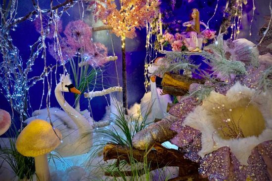 Vetralla - Il Regno di Babbo Natale