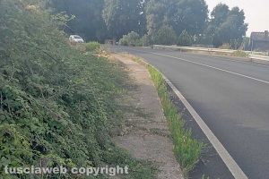 Viterbo - Incuria lungo i marciapiedi sulla Sammartinese