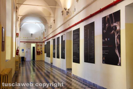 Viterbo - L'istituto superiore Paolo Ruffini