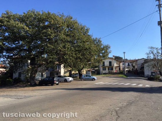 Viterbo - La piazza di Tobia