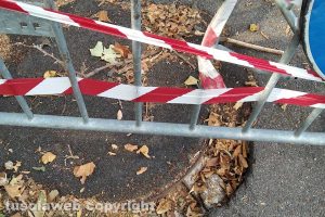 Viterbo - I lavori in via Sant'Anna