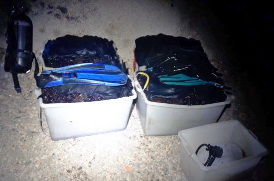 Civitavecchia - I ricci di mare e l'attrezzatura subacquea sequestrata