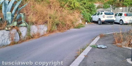 Viterbo - Erbacce al parcheggio delle Fortezze