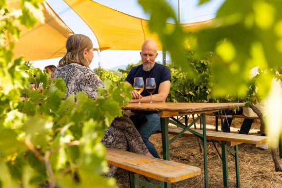 Trebotti BioVendemmia 2021