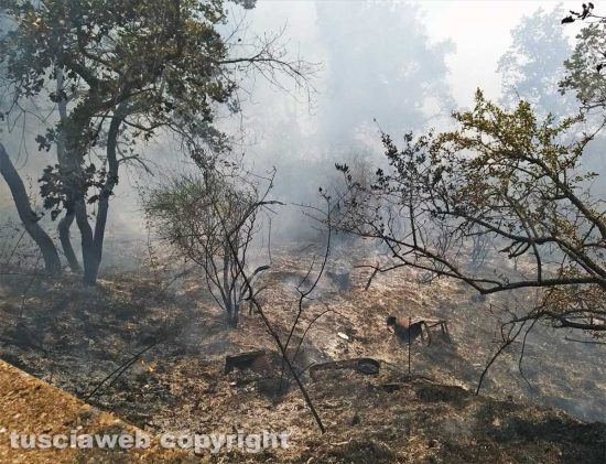 WhatsApp Image 2021-09-12 at 12.31.57