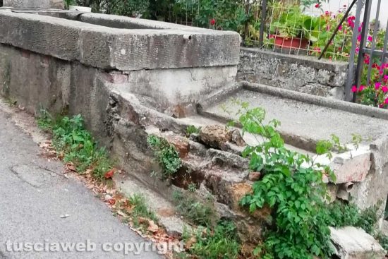 Viterbo - L'antico lavatoio di Canepinetta
