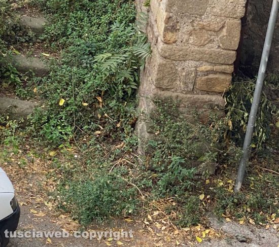 Viterbo - Largo Don Alceste Grandori in stato di abbandono