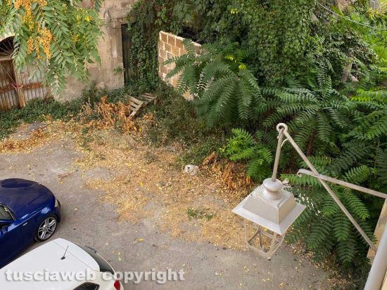 Viterbo - Largo Don Alceste Grandori in stato di abbandono