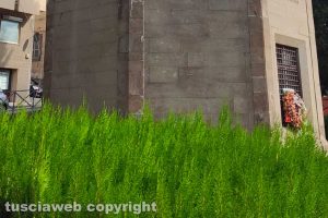 Viterbo - Incuria al monumento ai Caduti