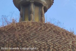 Viterbo - Incuria al monumento ai Caduti