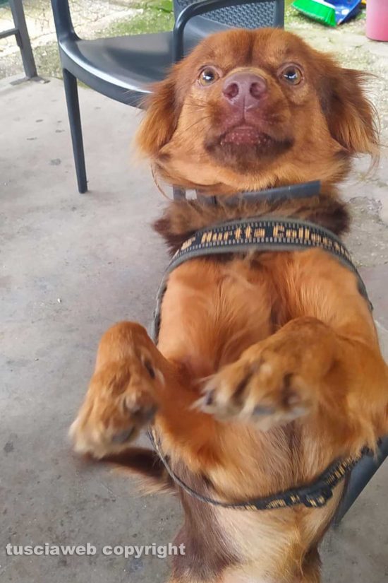 WhatsApp-Image-2021-09-20-at-13.06.07-(1)