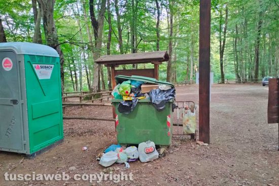 Viterbo - Il cassonetto indifferenziato alla Faggeta