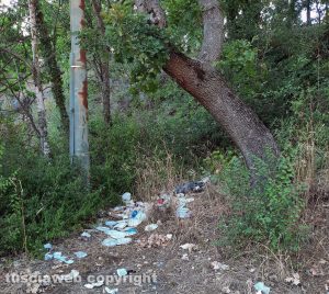 Viterbo - Erbacce e degrado al fontanile di Fiescoli