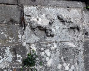 Viterbo - Erbacce e degrado al fontanile di Fiescoli