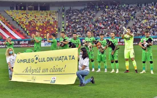 Romania - I calciatori scendono in campo con cuccioli di cane