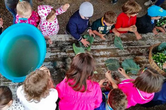 Clorophilla Festa della natura per bambini