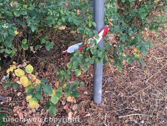 Viterbo - Cantiere a Porta Romana