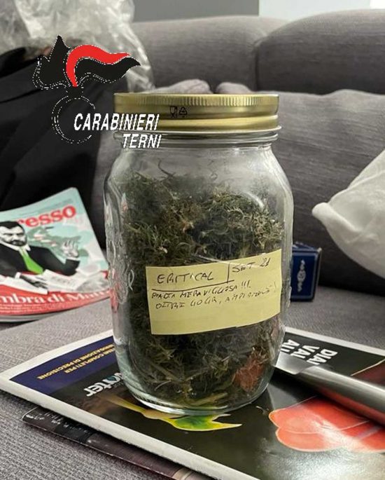 Terni - Carabinieri - I barattoli di marijuana divisi per tipologia