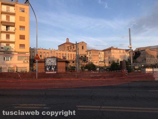 Tagliati i pini marittimi di porta Romana
